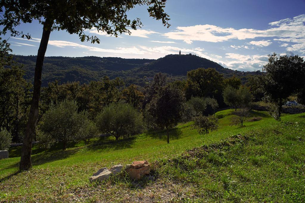 Apartament Venera *