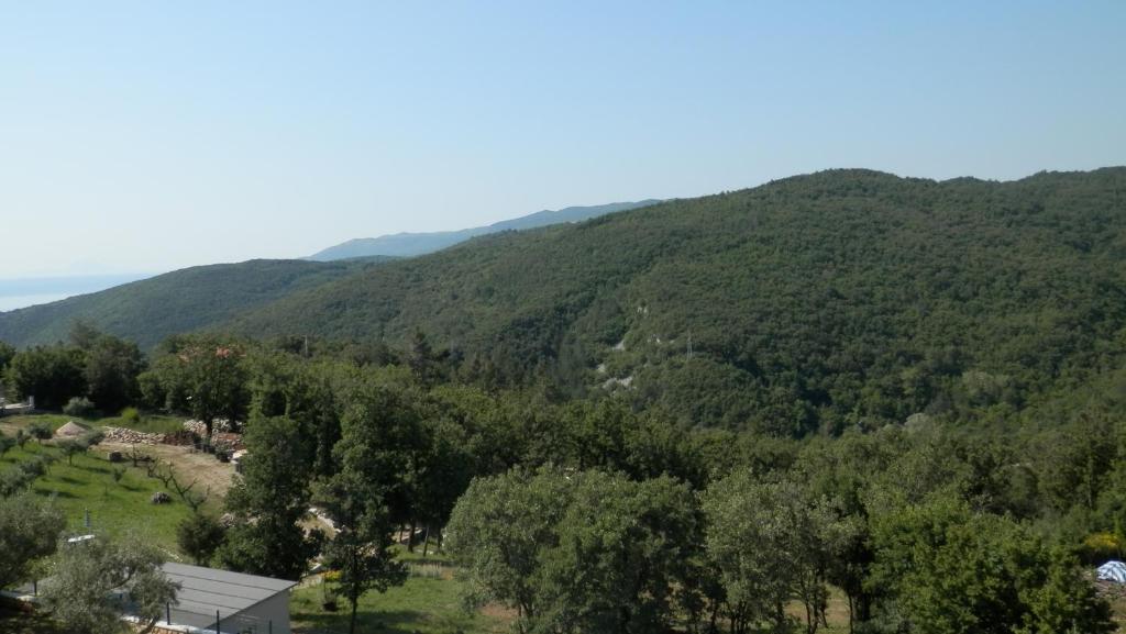 Venera